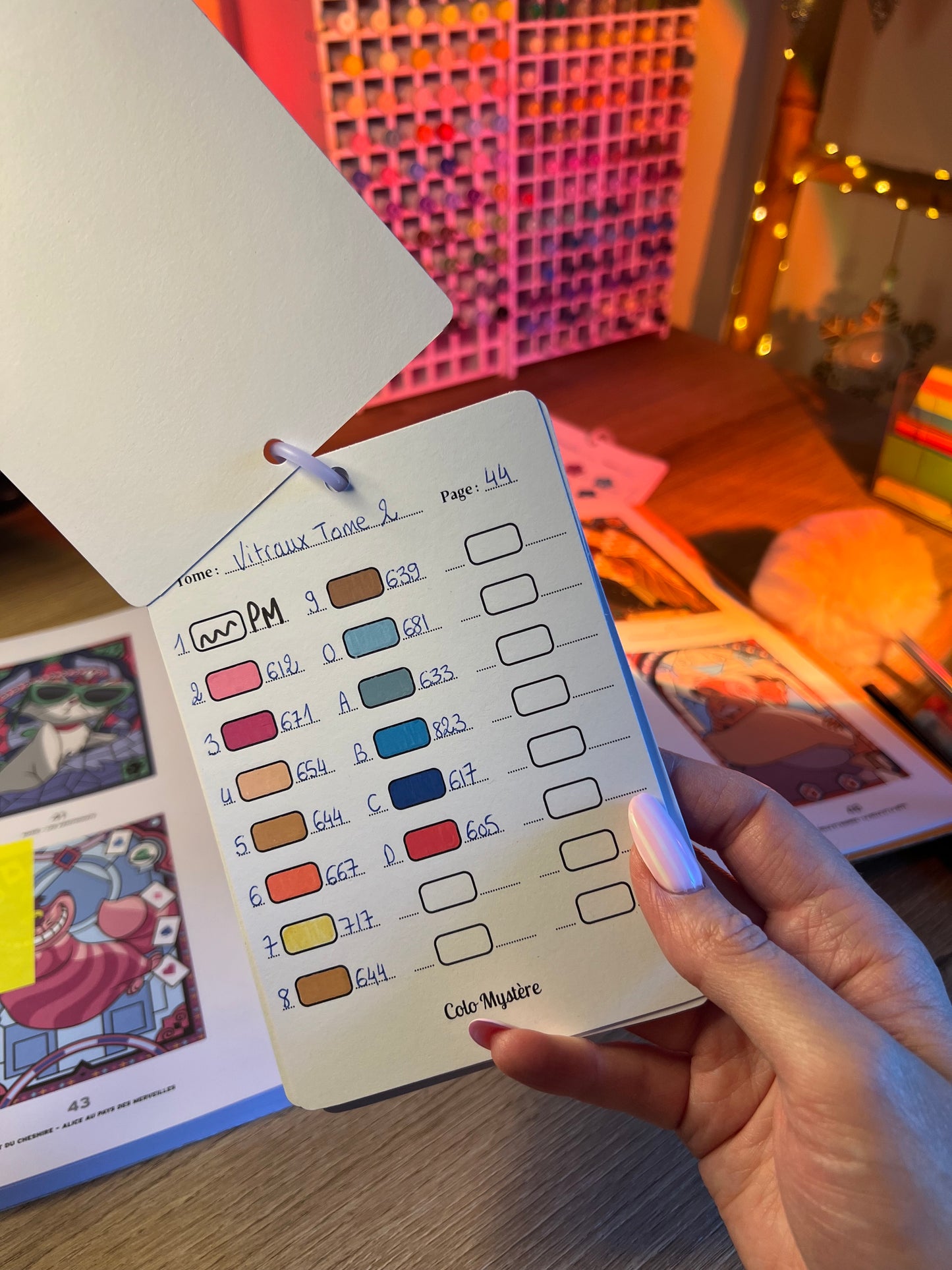 Tracker code couleur Colo Mystère